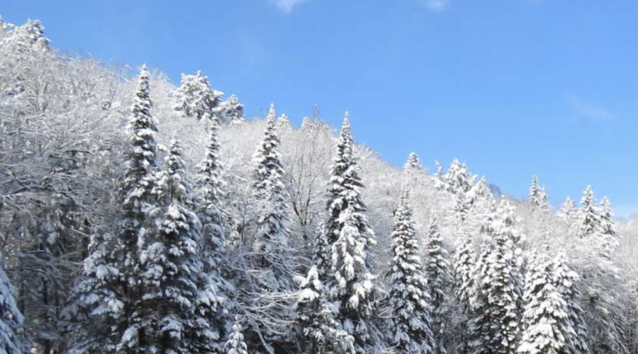 Parc national de la Mauricie