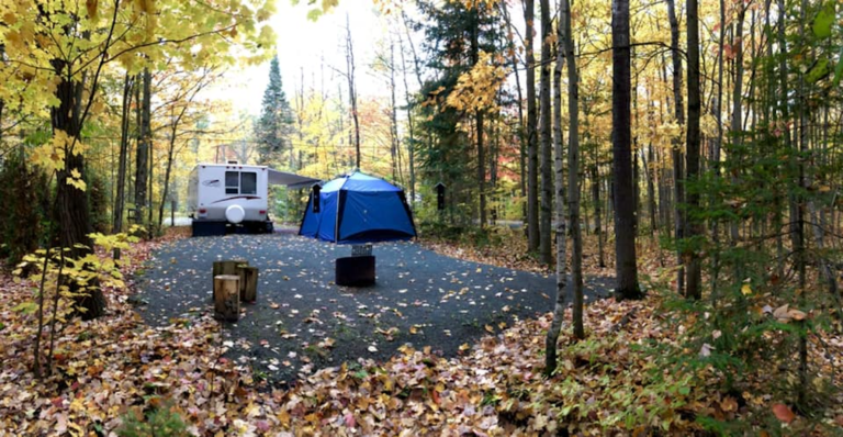 Parc régional de la rivière Gentilly Parc régional de la rivière Gentilly