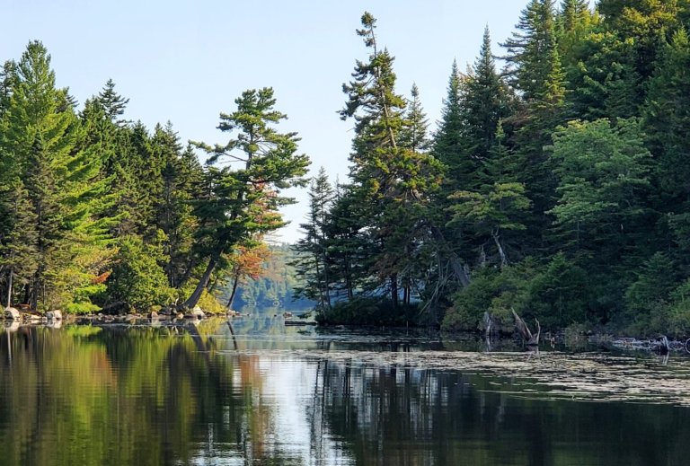 Parc riverain de la Sainte-Anne