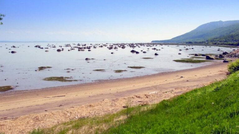 Plage du Quai Petite Riviere Saint Francois Plein air Charlevoix2 768x432