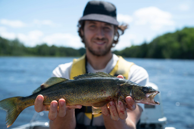 Réserve faunique La Vérendrye (Pourvoirie Le Domaine (Sépaq)
