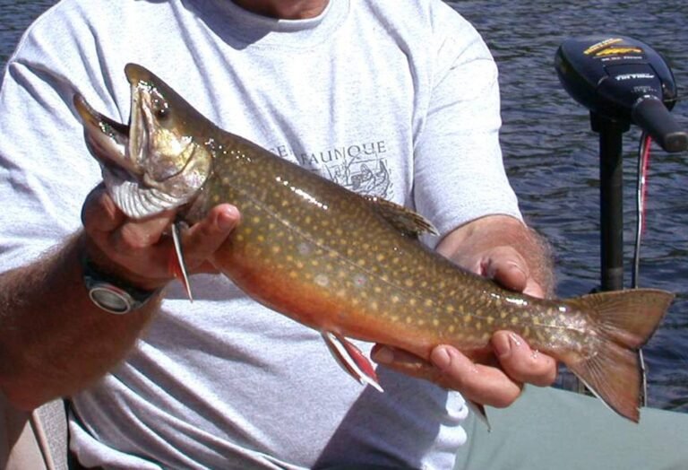 Réserve faunique de Papineau-Labelle (Sépaq)
