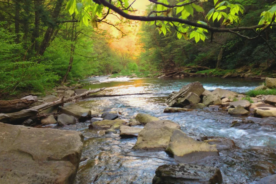 Sentiers de L’escapade