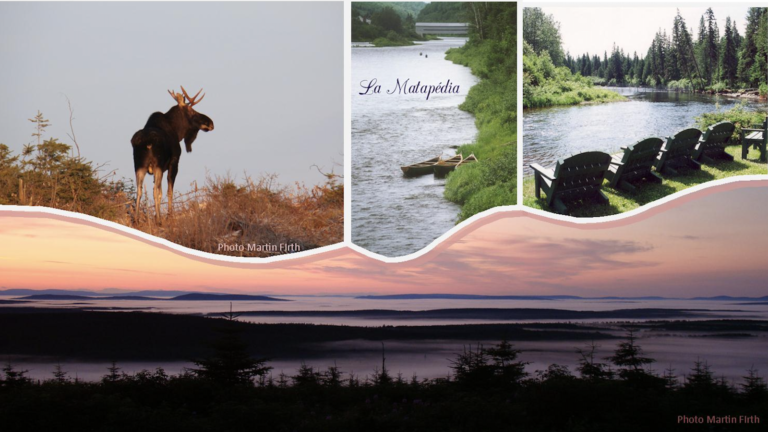 Site des Chutes et Marais Causapscal Plein air Gaspesie 768x432