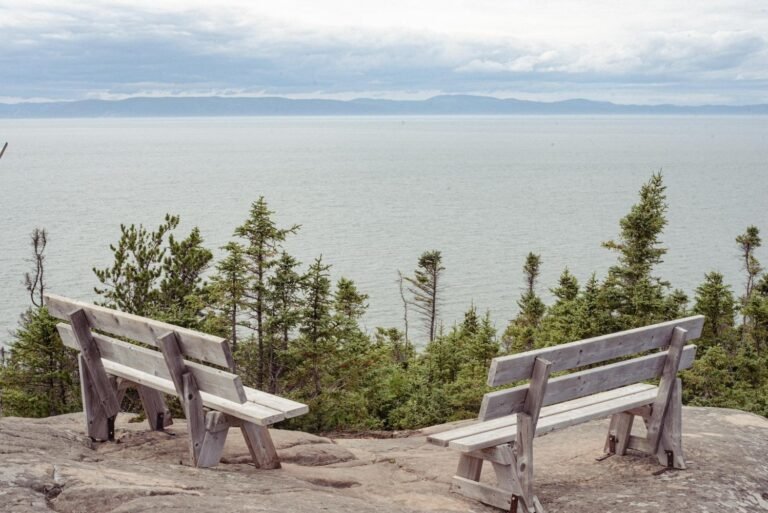 Site ornithologique du marais de Gros-Cacouna - Bas-St-Laurent