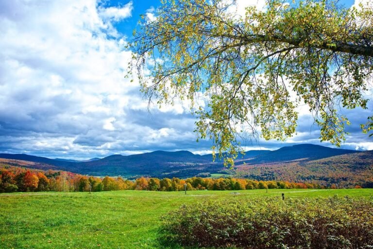 Tourisme Brome-Missisquoi - Photo 1