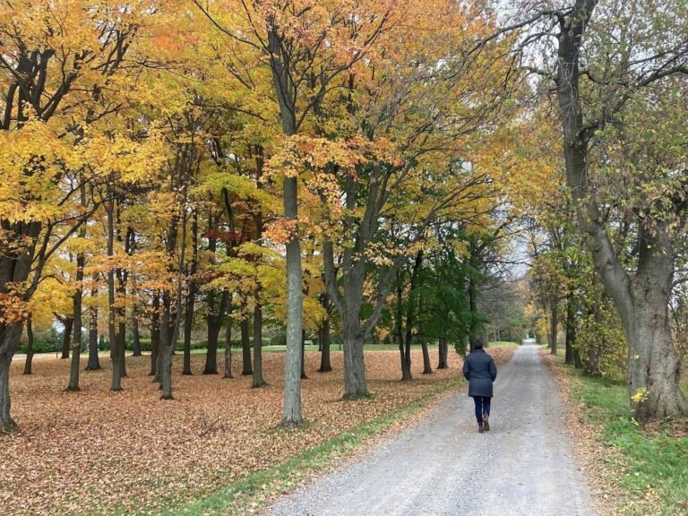 Tourisme des Chenaux - Photo 1