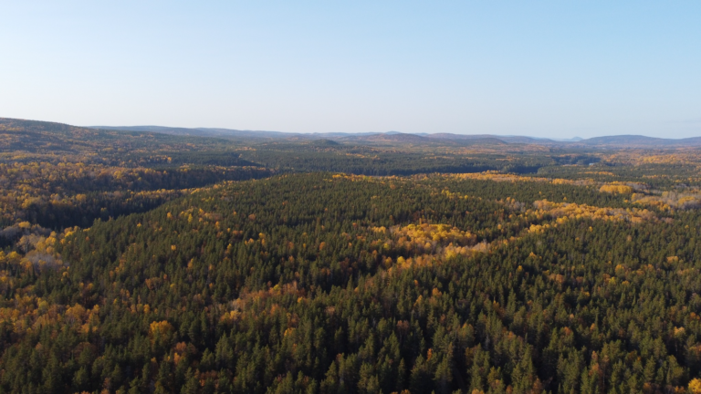 Zec Fremont Trois Rivieres Destination Plein air Mauricie  768x432