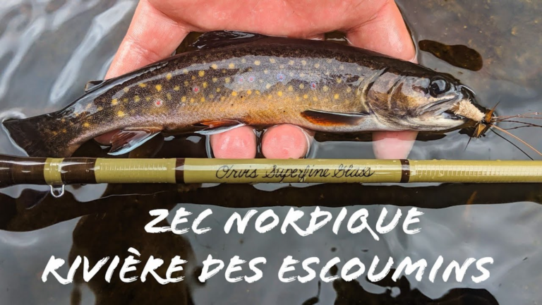 Zec Nordique Les Escoumins Plein air Cote Nord Manicouagan  768x432