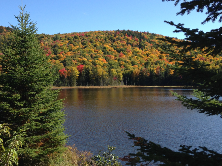 Zec Tawachiche Lac aux Sables Plein air Mauricie  768x576