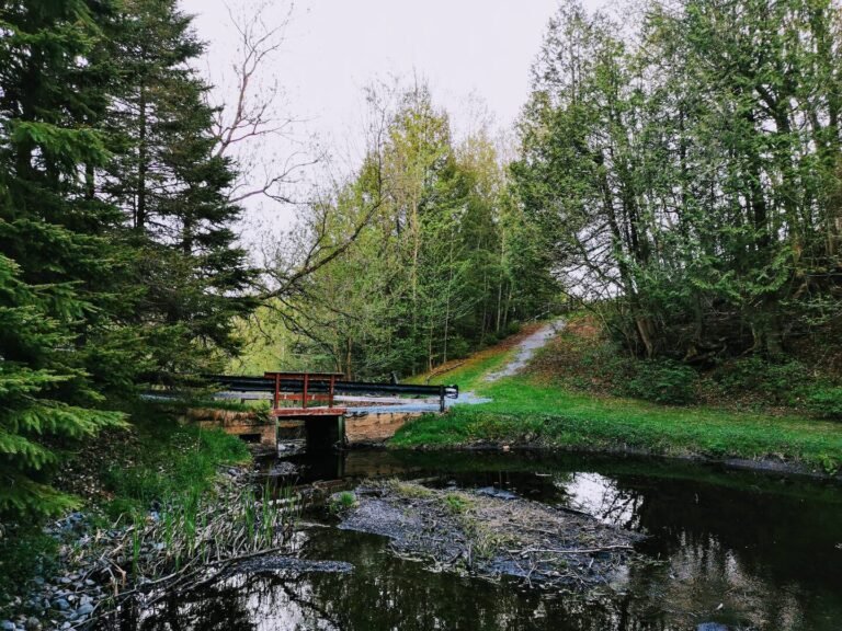 CHALET RIVIERE AUX SAUMONS 1 768x576