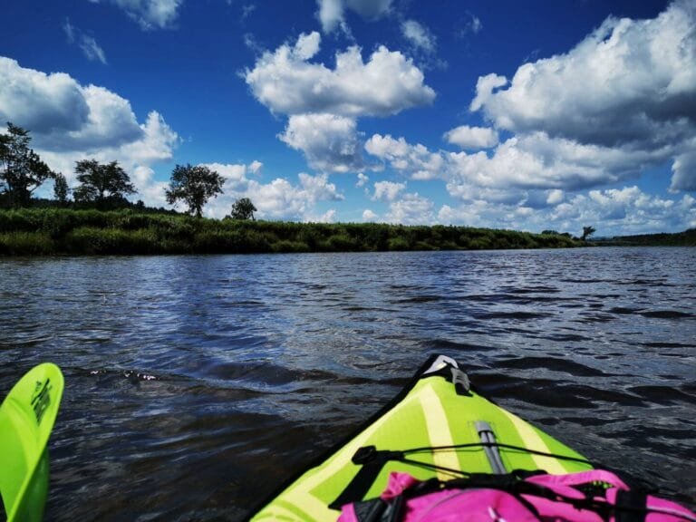 CHALET RIVIERE AUX SAUMONS 768x576