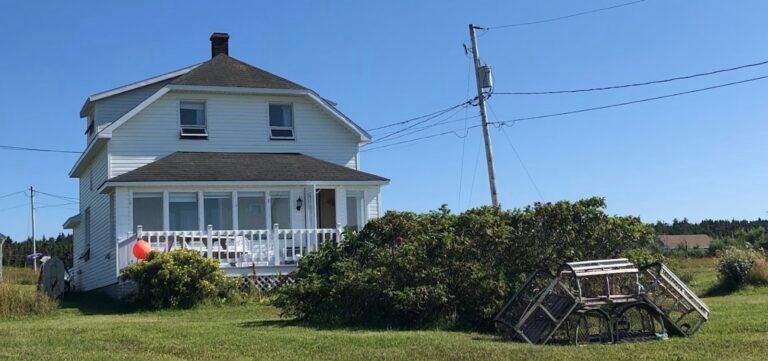 La Cigale des Îles - Photo 1