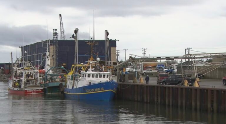 Le quai de Matane-Gaspésie