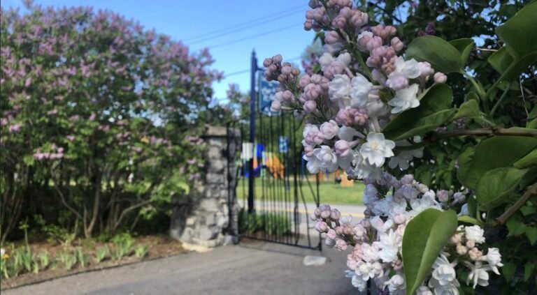 Municipalité Cap-à-l’Aigle - Destination Charlevoix