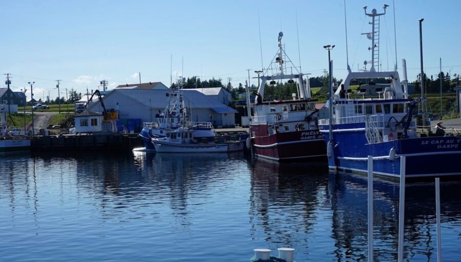 Quai Sainte-Thérèse-de-Gaspé
