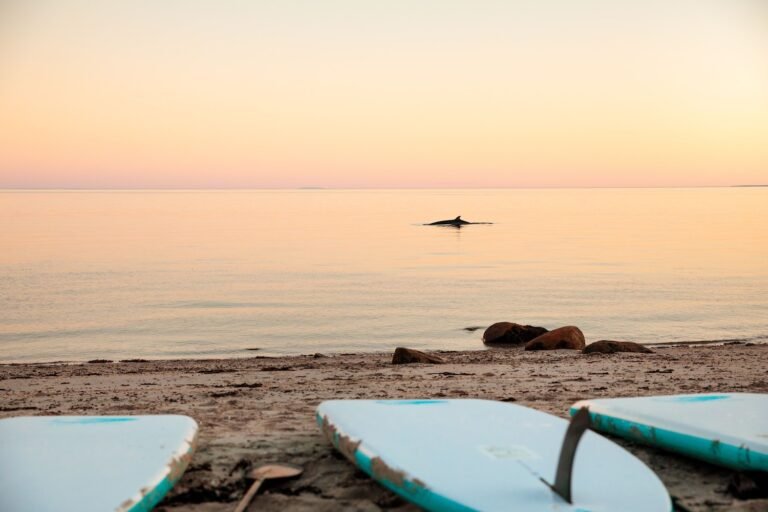 Camping Attitude Nordique - Cote-Nord