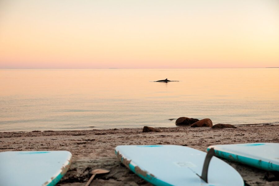 Camping Attitude Nordique