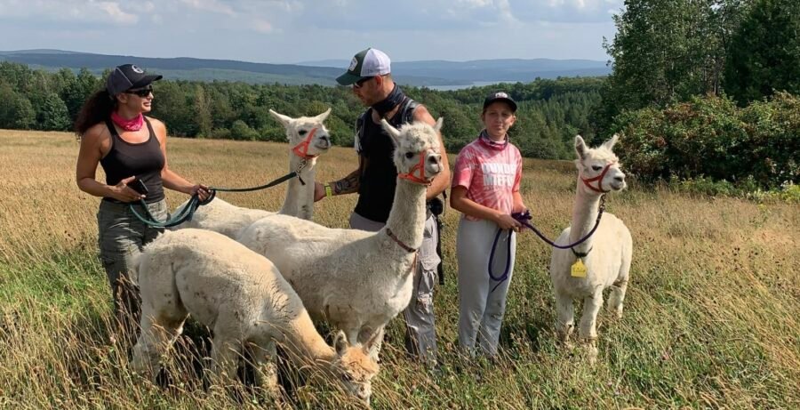 Base plein air Domaine Fraser