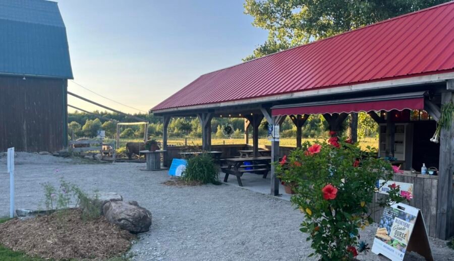 Bleuetière La Grande Ourse