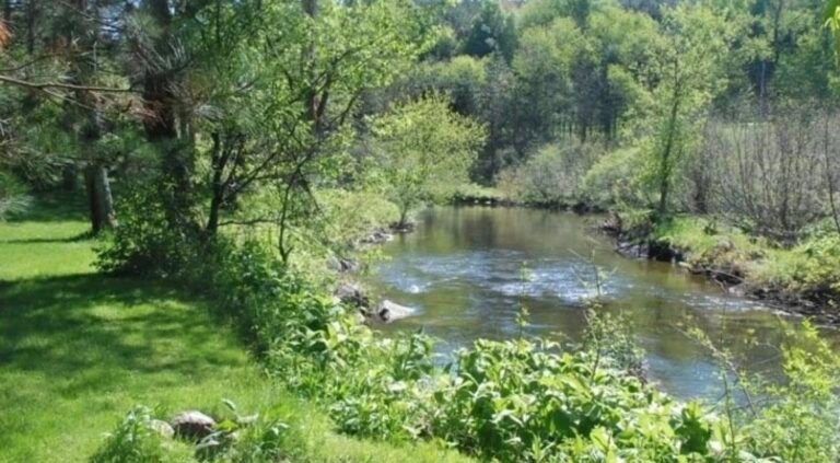 Camping Écologique de Frelighsburg - Frelighsburg - Cantons-de-l'Est