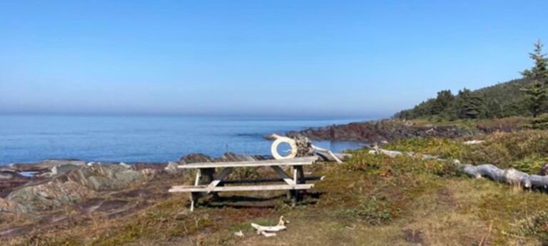 Camping Ô Fleuve - Ile verte