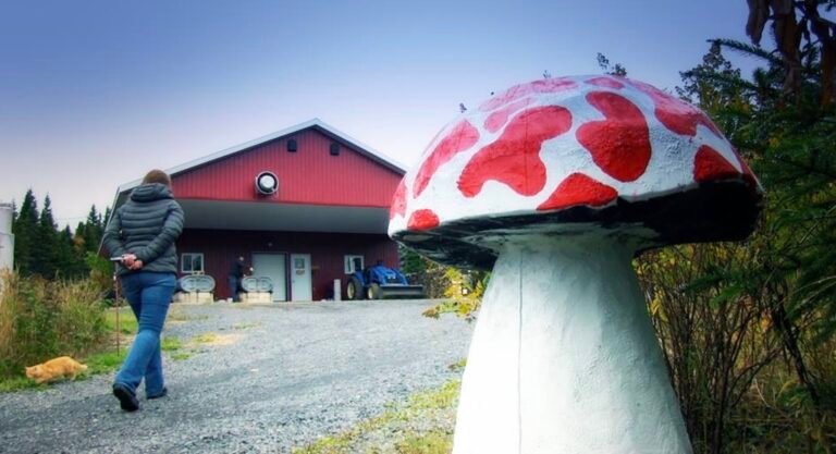 Champignons Charlevoix inc.