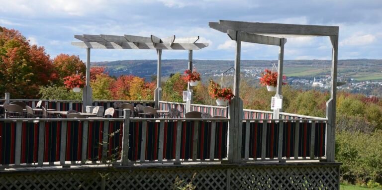 Cidrerie Domaine Steinbach ile Orleans