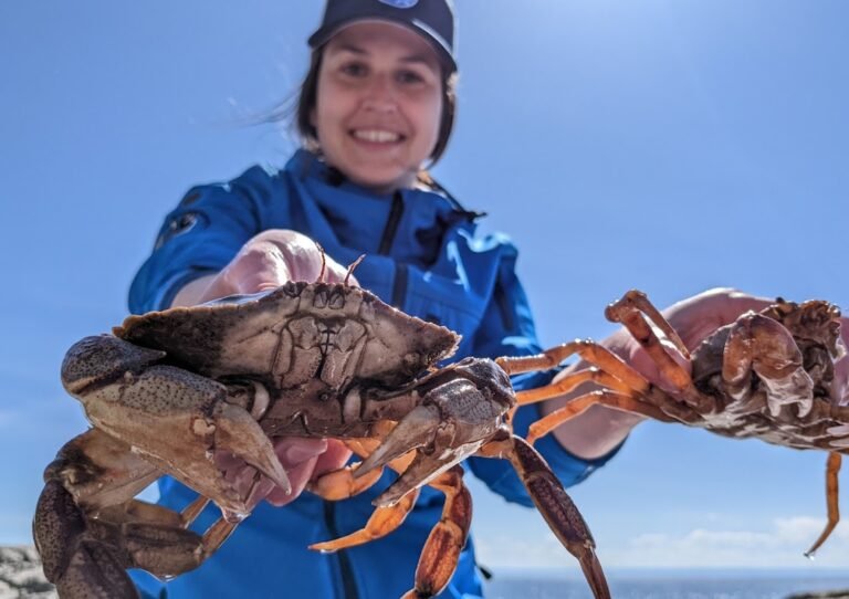 Explos-Nature - Les Bergeronnes - Cote-Nord