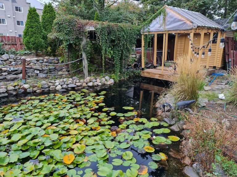 L'Oasis du Pirate - Photo 1