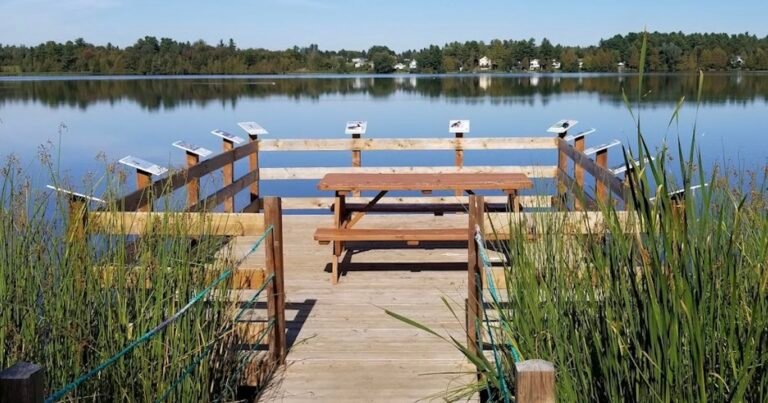 Le Parc des Pionniers à Saint-François-Xavier-de-Brompton