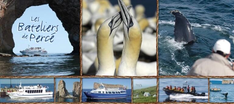 Les Bateliers de Percé Croisieres - Gaspésie