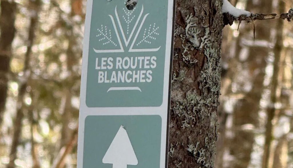 Les Routes blanches en ski nordique, Laurentides dans la catégorie destinations Québec été 2025