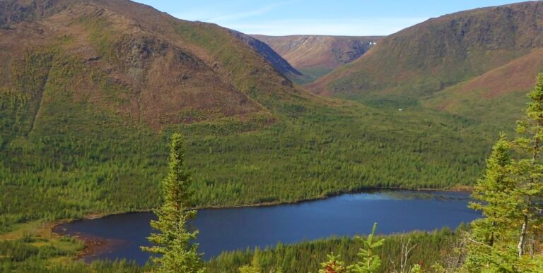 Mont Albert - Gaspésie