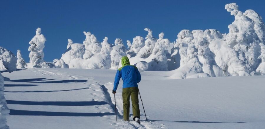 Mont Logan - Gaspésie