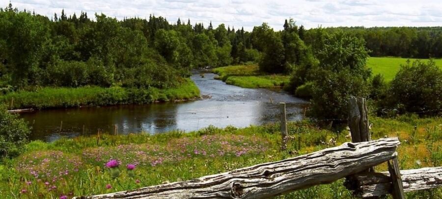 Municipalité de Hampden