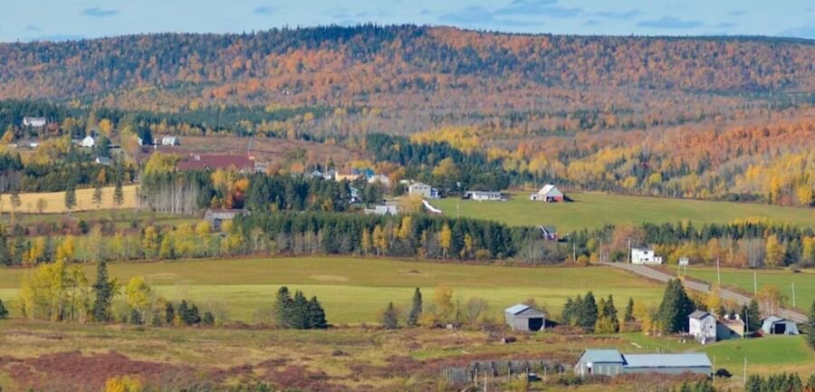 Municipalité Saint-André-de-Restigouche