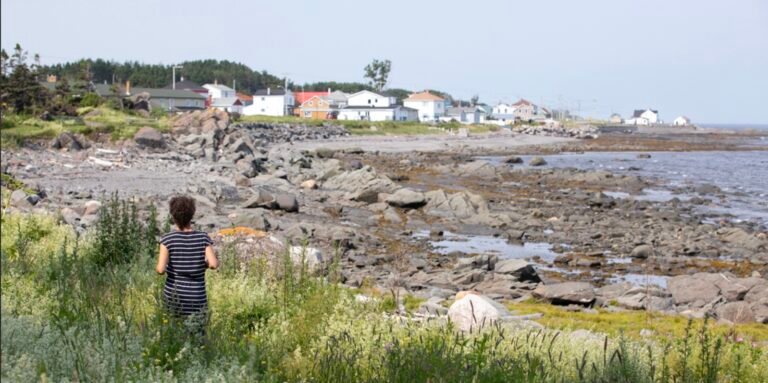 Municipalité de Sainte-Félicité-Gaspésie Municipalité de Sainte-Félicité-Gaspésie