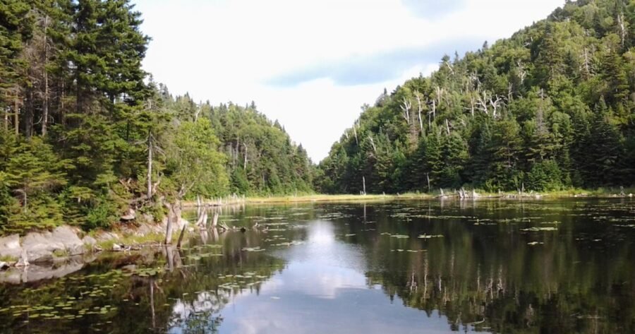 Parc d'environnement naturel de Sutton, Cantons-de-l'Est