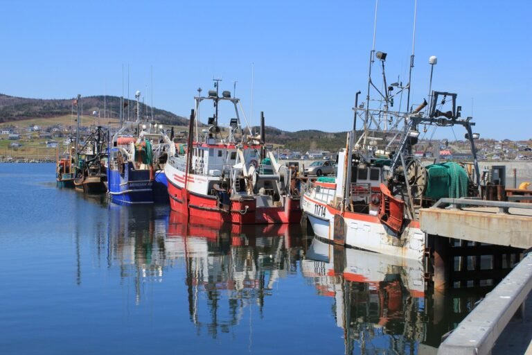 Quai Shigawake - Gaspésie