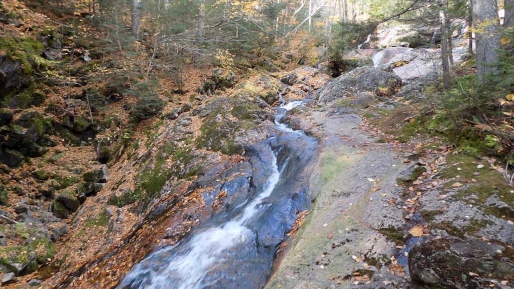 Toit-des-Laurentides