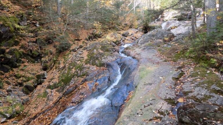 Toit-des-Laurentides