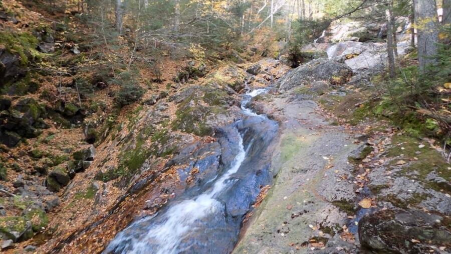 Toit-des-Laurentides