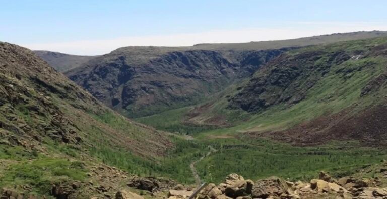 -Tour Mont-Albert - Gaspésie