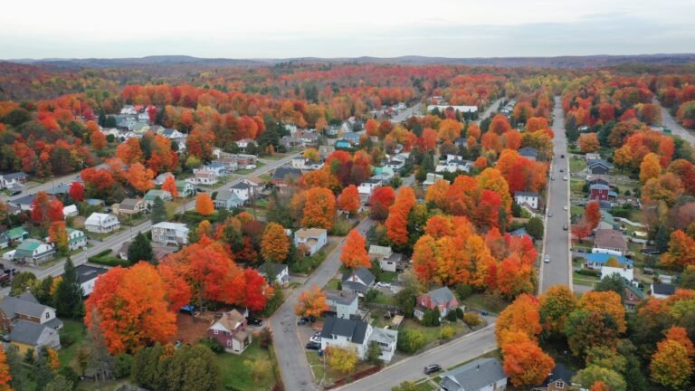 Ville de Brownsburg-Chatham
