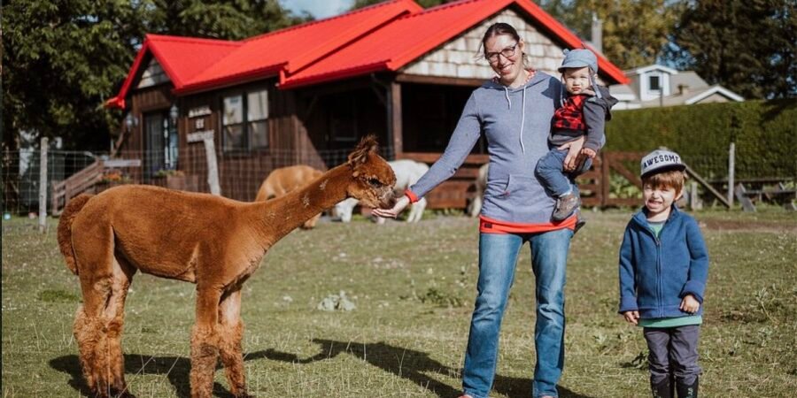 Alpagas D'Ham Nature