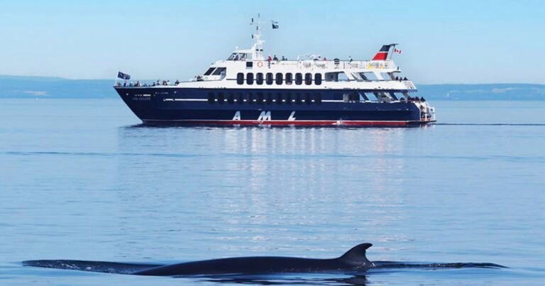 Croisière à la baleine et au Saguenay Croisière à la baleine et au Saguenay
