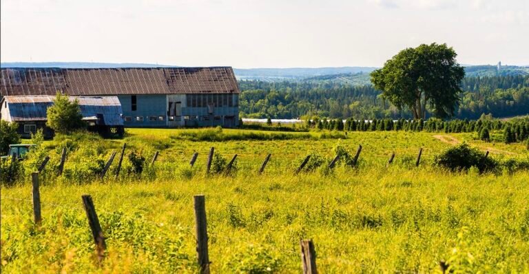 Municipalité de Saint-Georges-de-Windsor