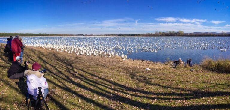 Parc du Réservoir-Beaudet-Centre-du-Quebec