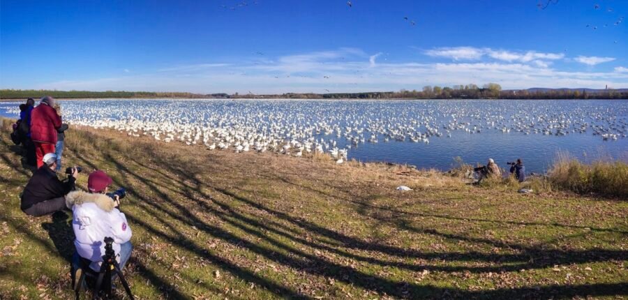 Parc du Réservoir-Beaudet